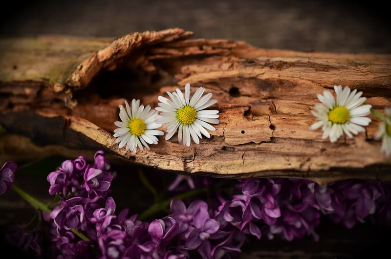 Wood Art